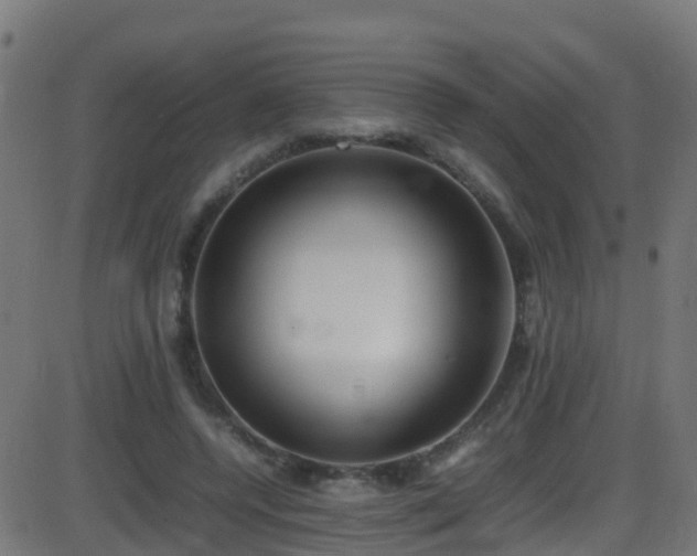 X0000086280544200704051337