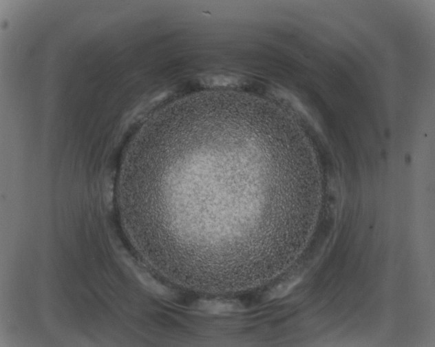 X0000086280545200704051337