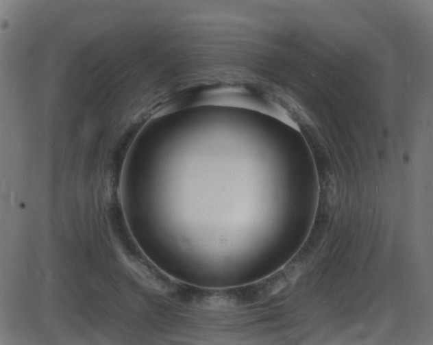 X0000086280546200704051337