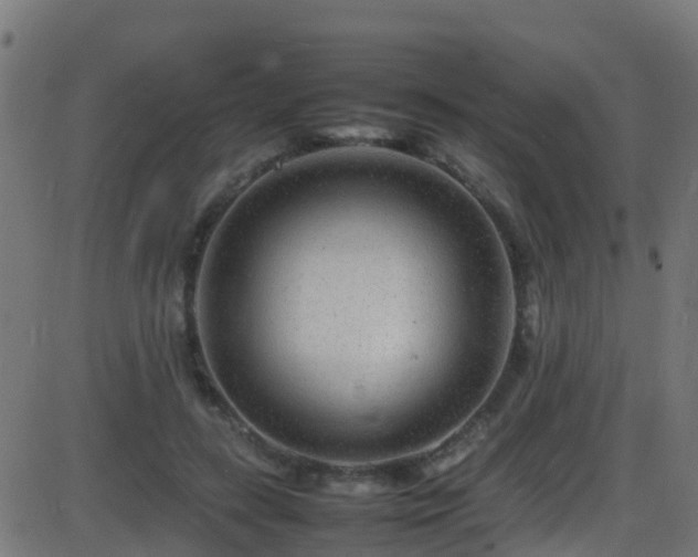 X0000086280547200704051337