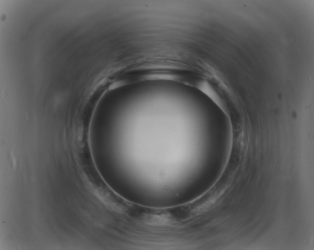 X0000086280548200704051337