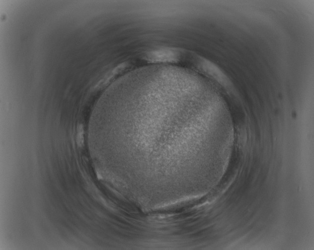 X0000086280549200704051337