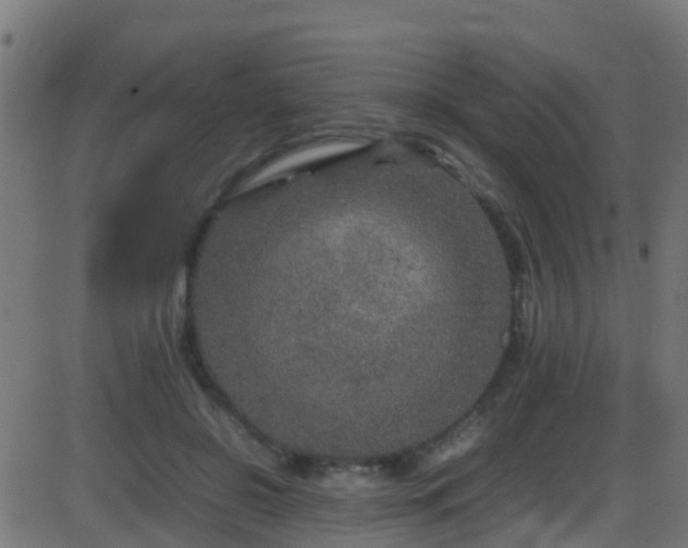 X0000086280550200704051337