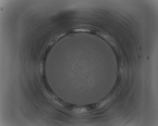 X0000086280551200704051338