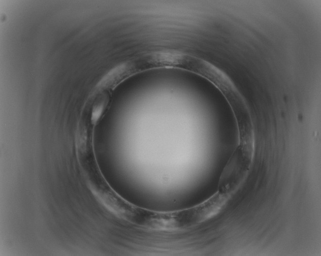 X0000086280552200704051338