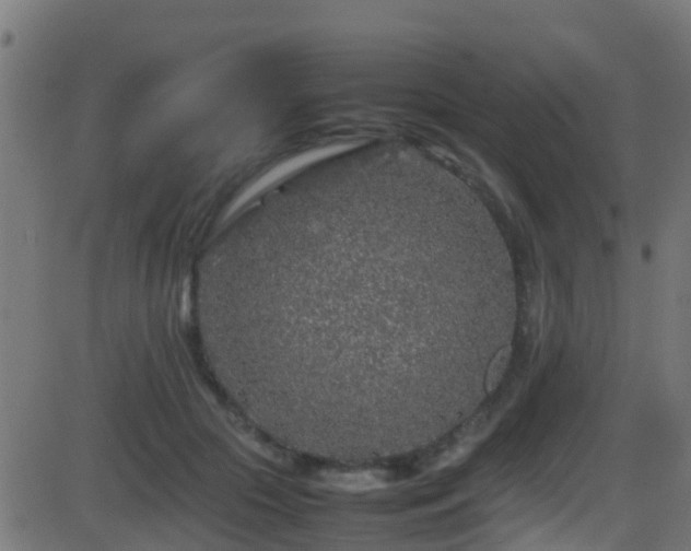 X0000086280553200704051338