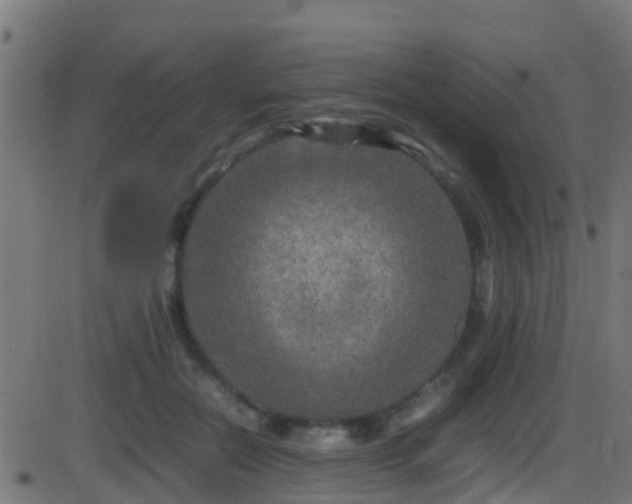 X0000086280554200704051338