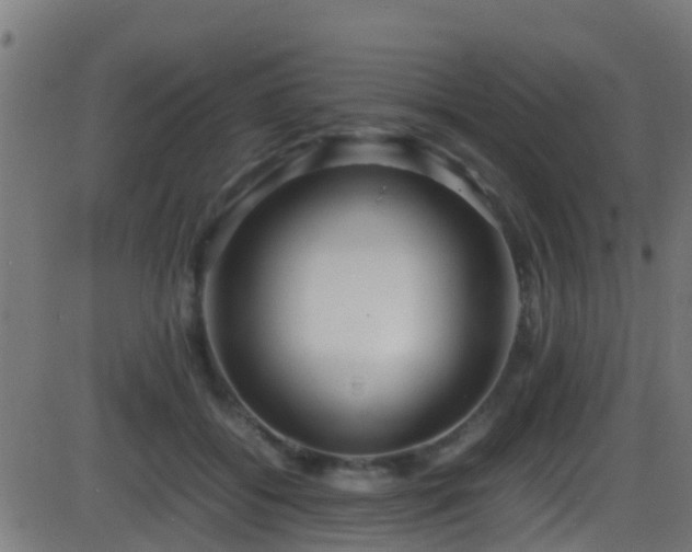 X0000086280556200704051338