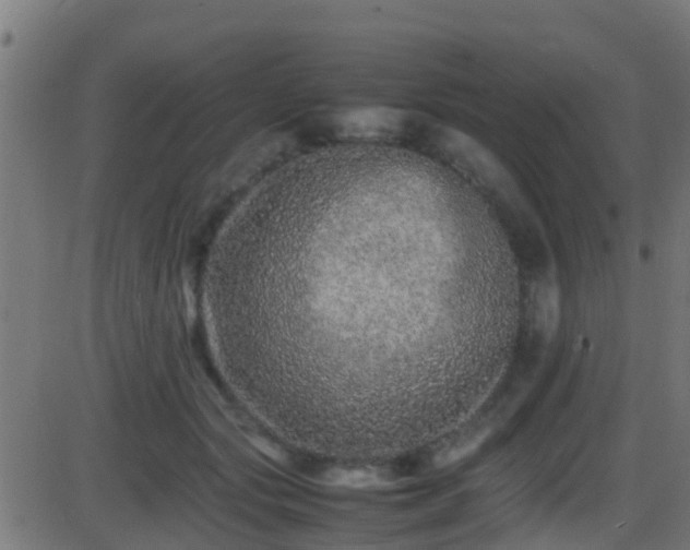 X0000086280557200704051338