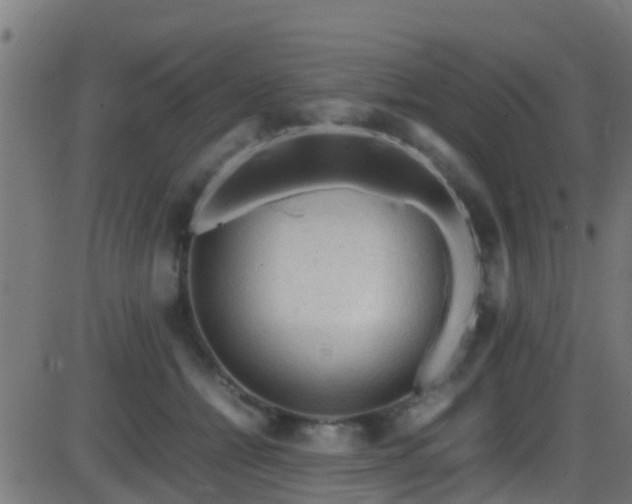 X0000086280558200704051338