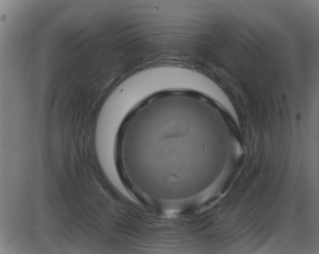 X0000086280560200704051338