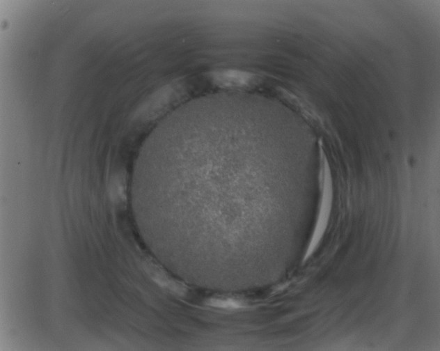 X0000086280561200704051338