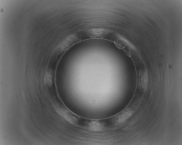 X0000086280562200704051338