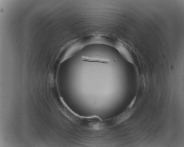 X0000086280564200704051338