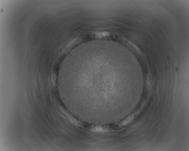 X0000086280565200704051338