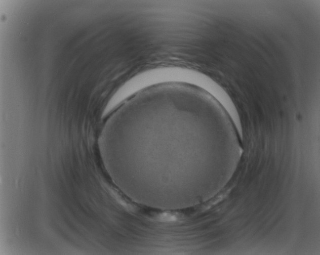 X0000086280566200704051338