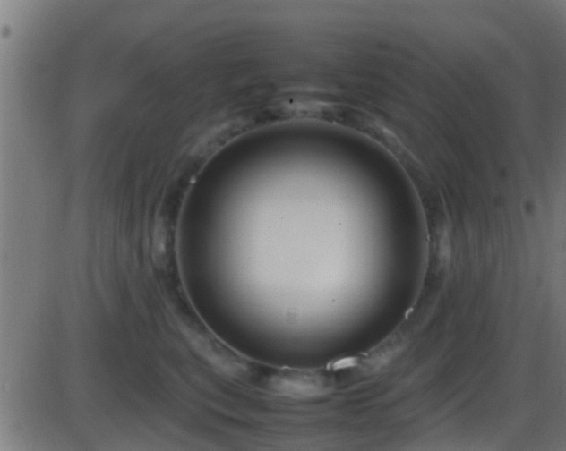 X0000086280567200704051338