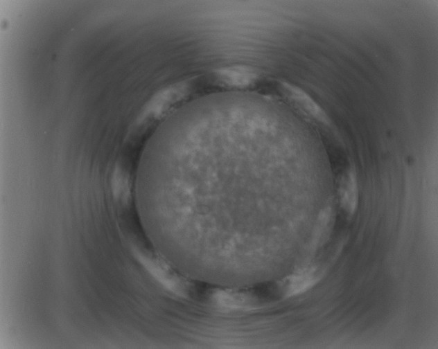 X0000086280568200704051338