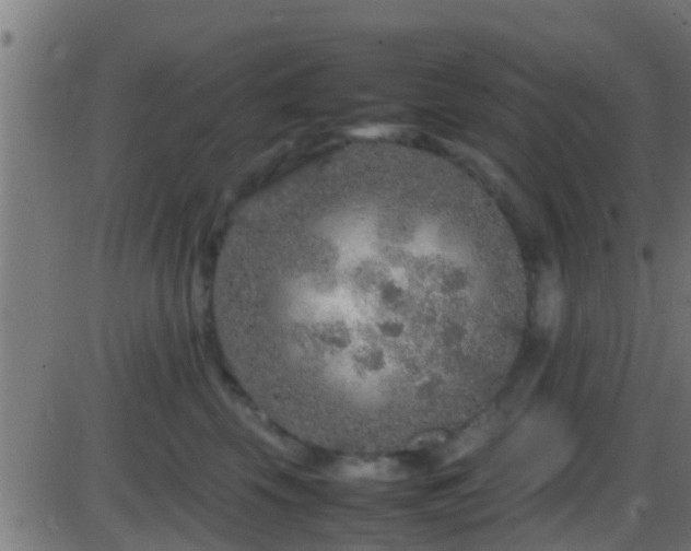 X0000086280569200704051338