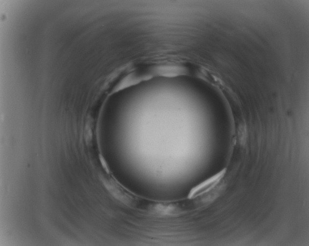 X0000086280570200704051338