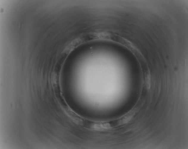 X0000086280571200704051338