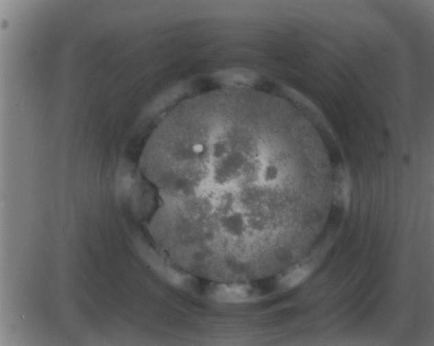 X0000086280573200704051338