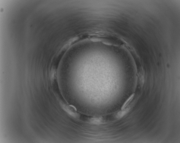 X0000086280574200704051338