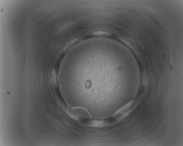 X0000086280575200704051338