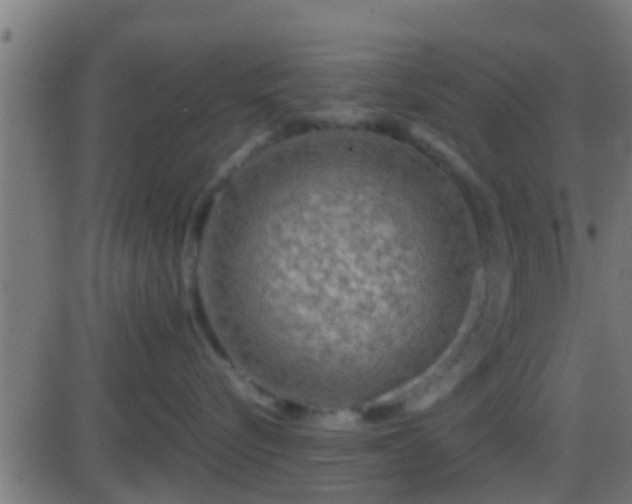 X0000086280576200704051338