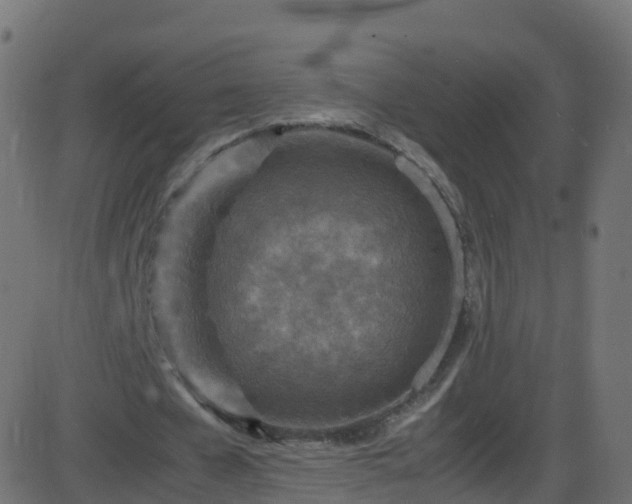 X0000086280577200704051337