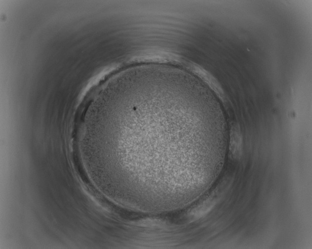 X0000086280578200704051337