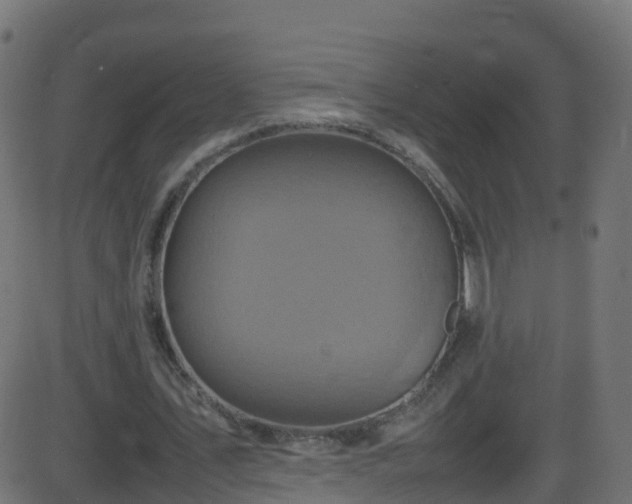 X0000086280579200704051337