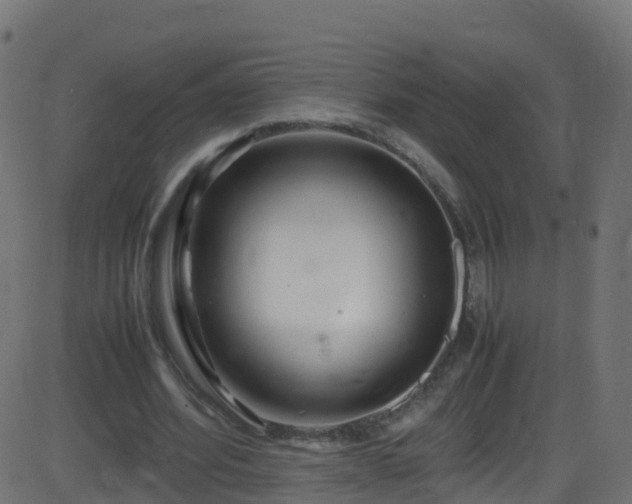 X0000086280580200704051337