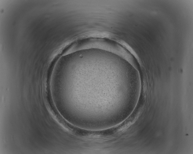 X0000086280581200704051337