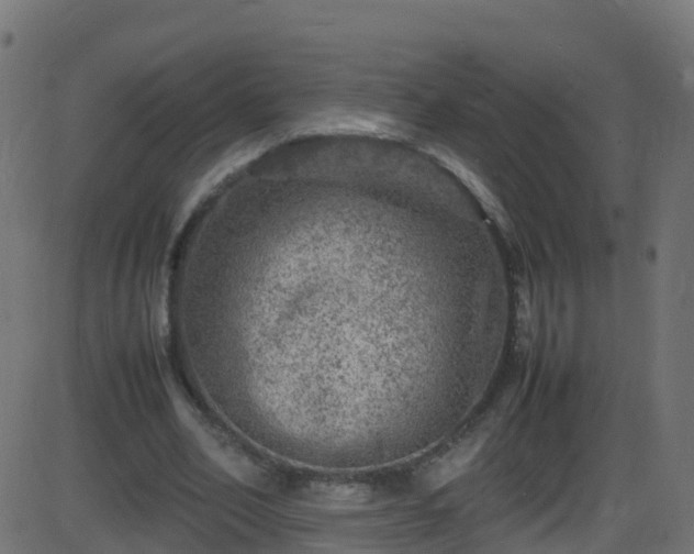 X0000086280582200704051337