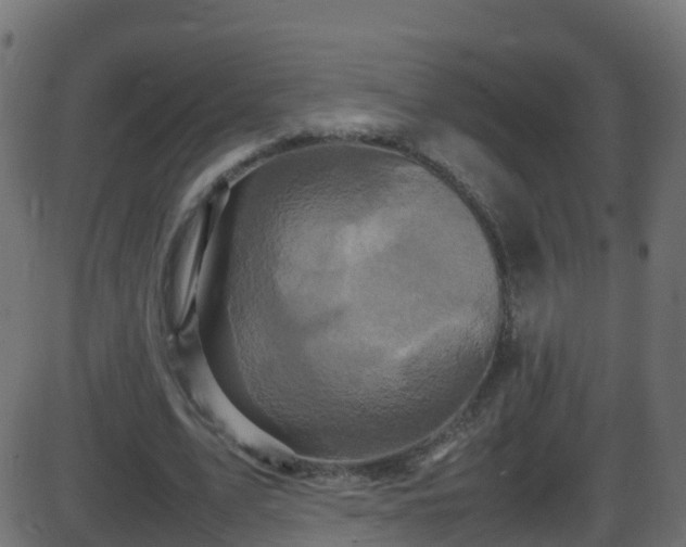 X0000086280583200704051337