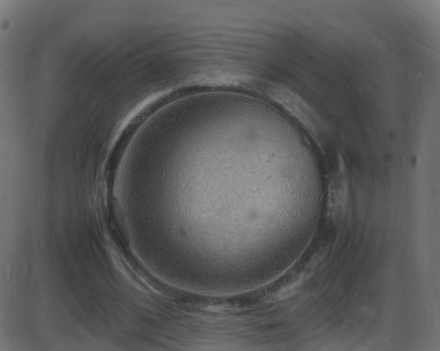 X0000086280584200704051337