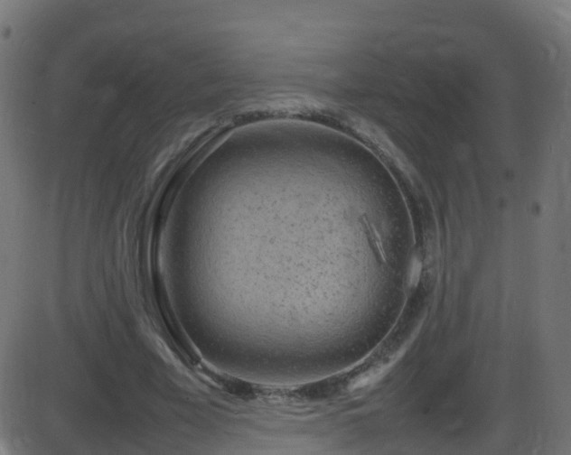 X0000086280585200704051337