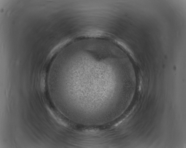 X0000086280586200704051337