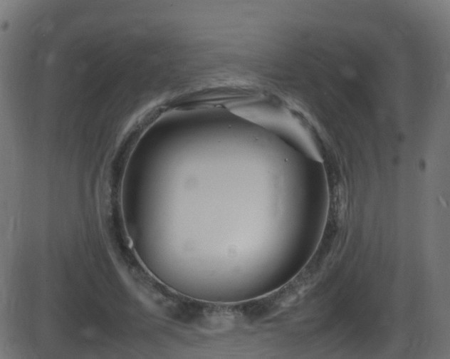 X0000086280587200704051337