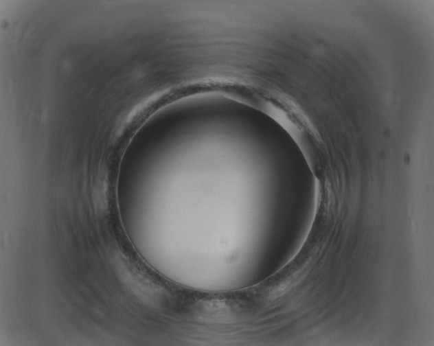 X0000086280588200704051337