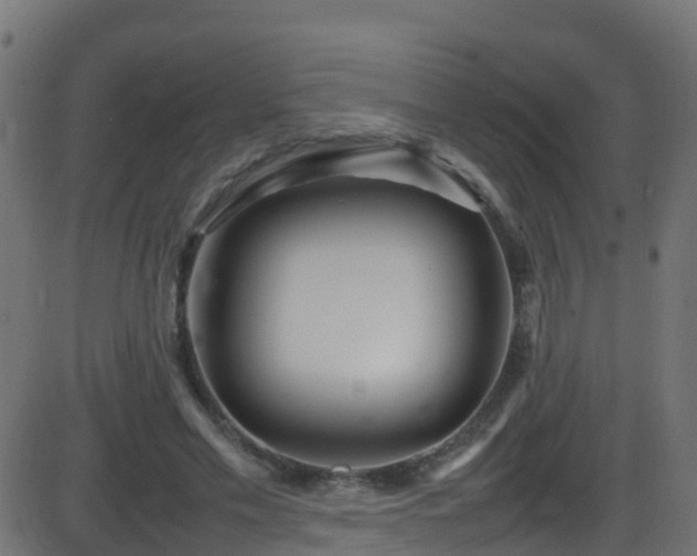 X0000086280589200704051337