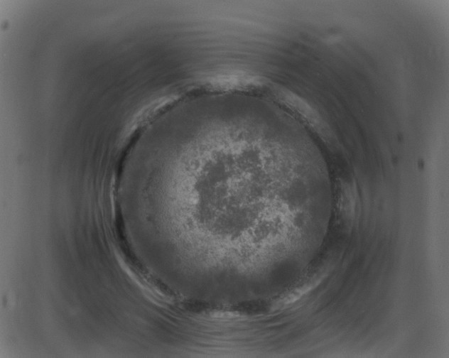 X0000086280590200704051337