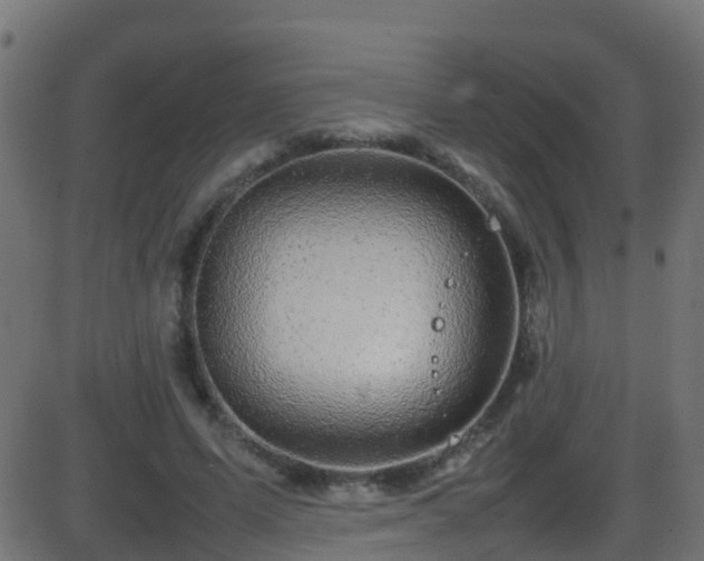 X0000086280591200704051337