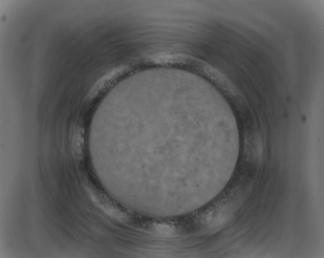 X0000086280592200704051337