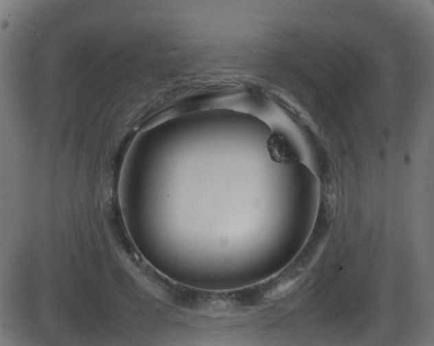 X0000086280593200704051337