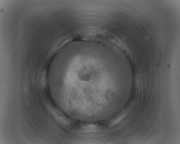 X0000086280594200704051337