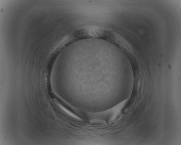 X0000086280595200704051337