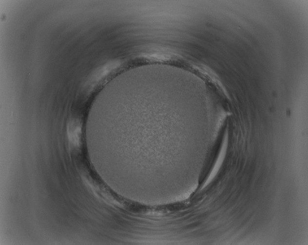 X0000086280596200704051337