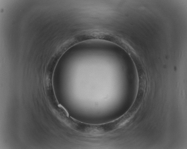 X0000086280597200704051337